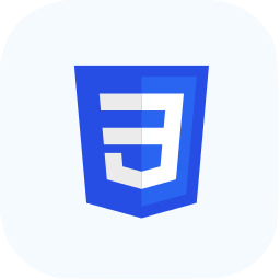 Web Designing Company in Chandrapur