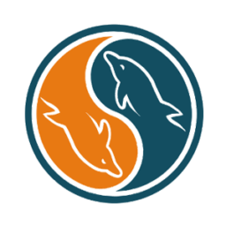 Web Designing Company in Chandrapur